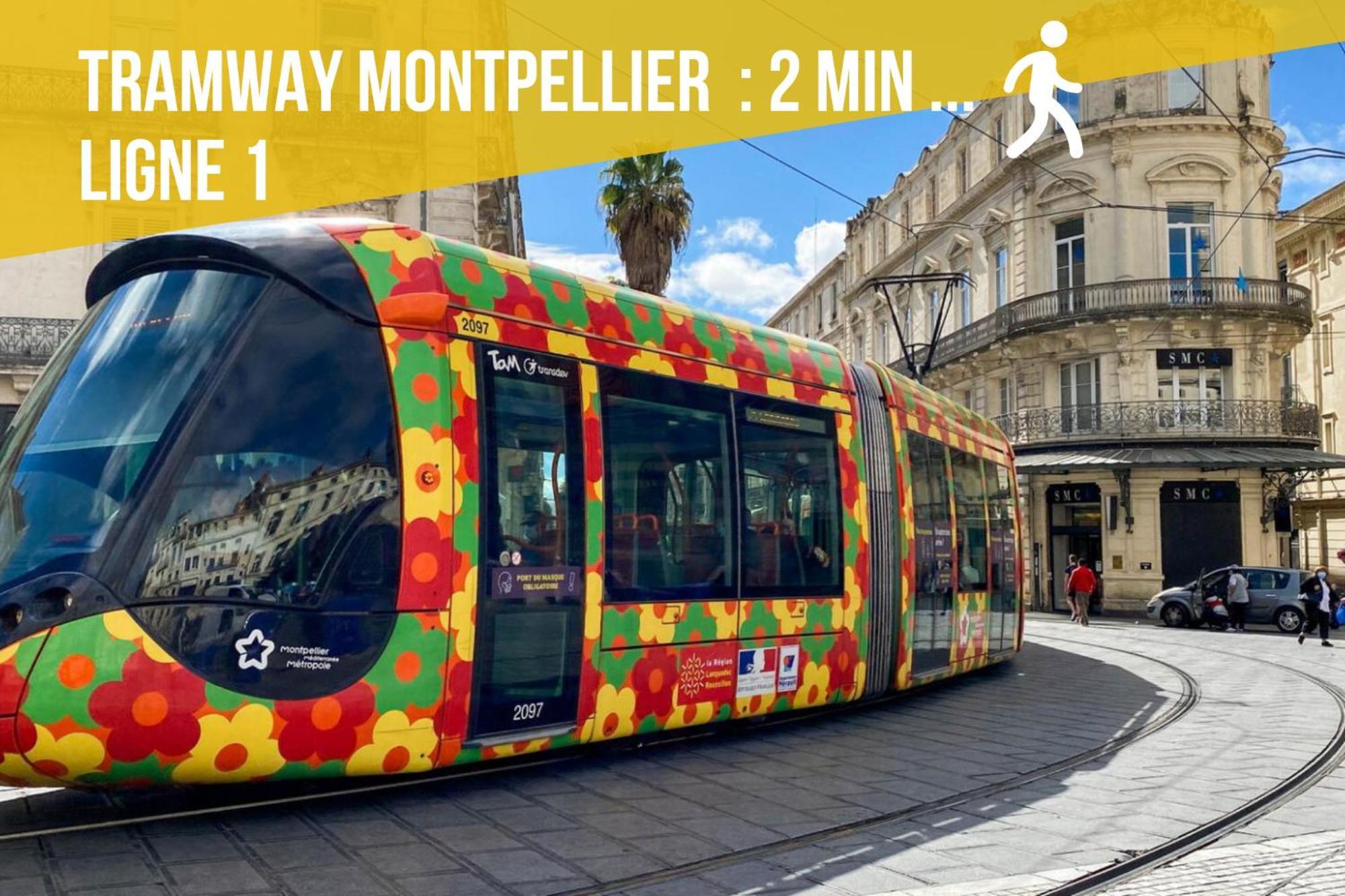 Le Chapeau Rouge - Centre Historique - Corum - Tramway - Climatisation Montpellier Zewnętrze zdjęcie